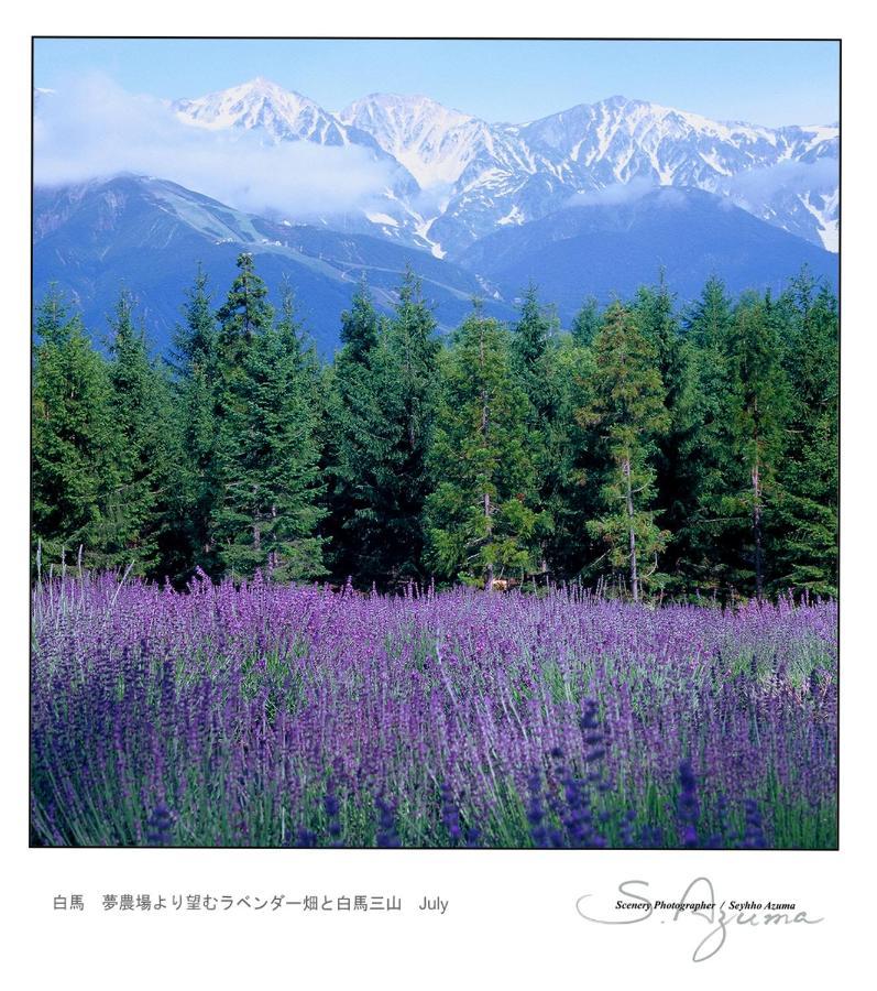 Hotel Montblanc Hakuba Zewnętrze zdjęcie